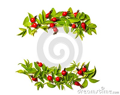 Frame of flowers, berries and green leaves on a white backgrou Stock Photo
