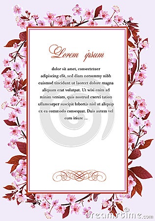 Frame with the flowers of cherry tree Vector Illustration