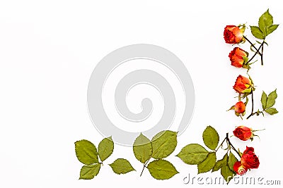 Frame from flowers roses with green leaves on a white background. Flower pattern for greeting cards for holiday, wedding, birthday Stock Photo