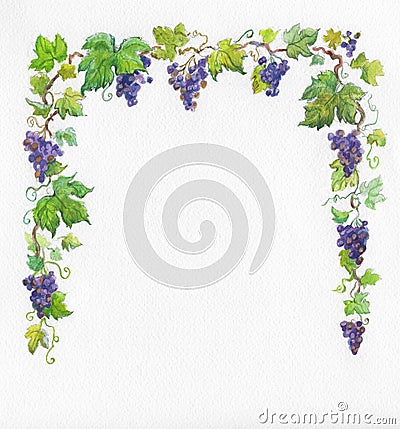 Frame grapes. Watercolor. Stock Photo