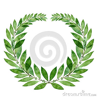 Frame of green Laurel wreath. Watercolor illustration isolated on white background Cartoon Illustration