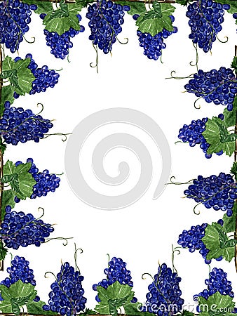 Frame for greeting card. with space for text. bunches of purple grapes. Cartoon Illustration