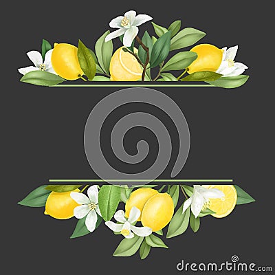 Frame of hand drawn blooming lemon tree branches, flowers, lemons Stock Photo
