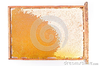 Frame with honeycombs and honey Stock Photo