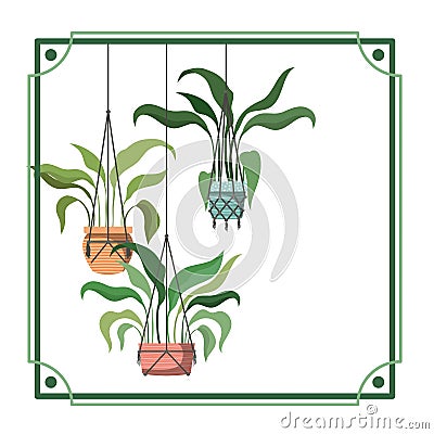 Frame with houseplants on macrame hangers Vector Illustration