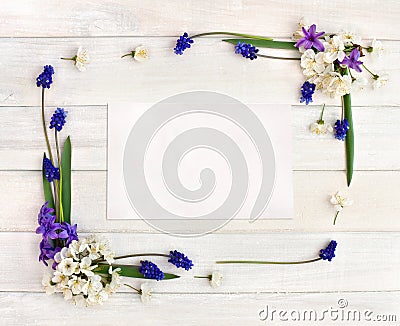 Frame of hyacinths Hyacinthus, muscari and blossom cherry tree on a white wooden background and blank sheet with space for text Stock Photo