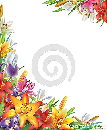 Frame with Iris and lilies flowers Vector Illustration