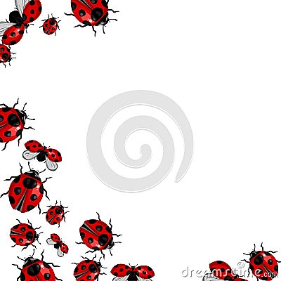 Frame red ladybirds on white background Stock Photo