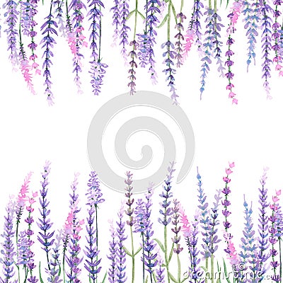 Frame with lavender Stock Photo