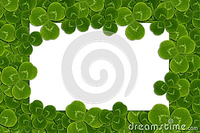 Frame leaves clover trefoil shamrock pattern Stock Photo