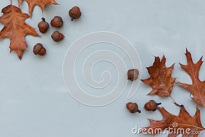 Frame made of autumn oak leaves and acorns on gray wooden background. Flat lay. Top view. Copy space. Autumn fall or Thanksgiving Stock Photo