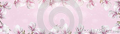 Frame made of beautyful flourish magnolia and soft flares and bokeh isolated on pink background banner panorama Stock Photo