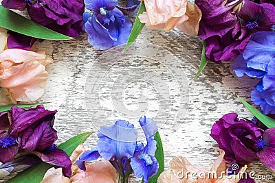 Frame made of colorful iris flowers on white rustic wood background for creative work design. top view Stock Photo