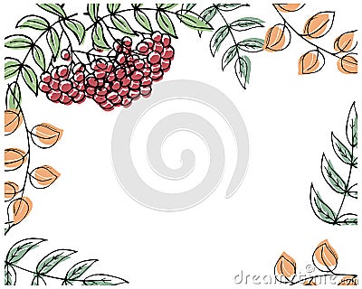 Frame made of hand drawn rowan bunches and autumn leaves. Autumn illustration, background Vector Illustration