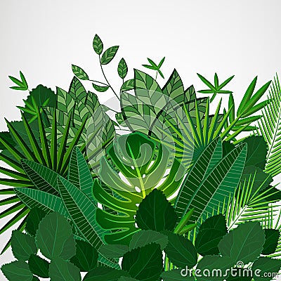 Frame made of leaves on a white background. Jungle tropical Vector Illustration