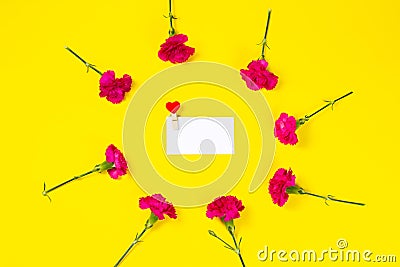 Frame made of pink carnation flowers with Blank Greeting Card Stock Photo