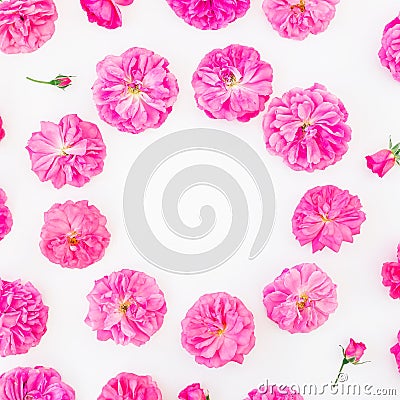 Frame made of purple roses and petals on white background. Flat lay, top view. Floral round composition of pink flowers Stock Photo