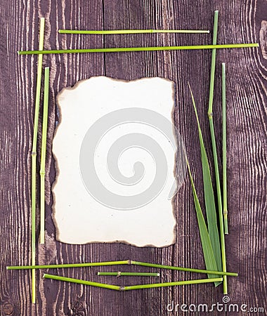 Frame made of stems. grass frame top view space empty Stock Photo