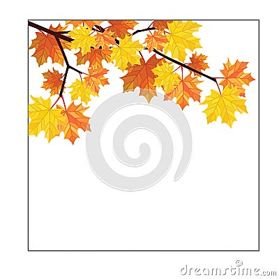 Frame with a maple branch. Vector illustration. Vector Illustration