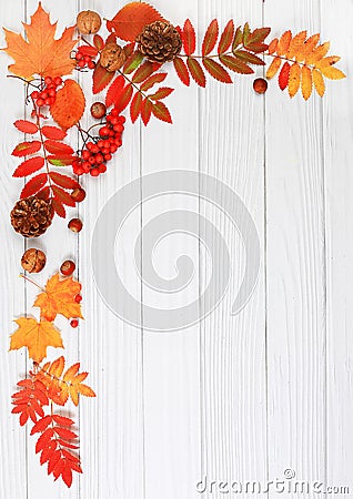 Frame with maple leaves, pine cones, nuts, pumpkins and rowan berries, autumn abstract composition, Thanksgiving concepts, Stock Photo