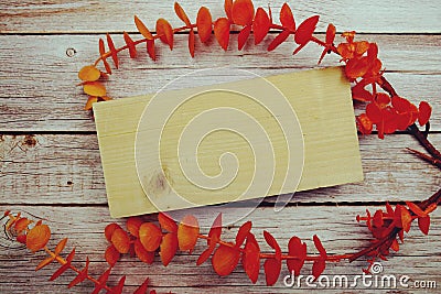 Frame of orange eucalyptus leave with wooden banner for text on wooden background Stock Photo