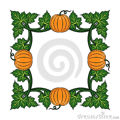 Frame with orange pumpkins and green leaves. Floral vector illustration. Vector Illustration