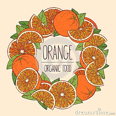 Frame oranges Vector Illustration