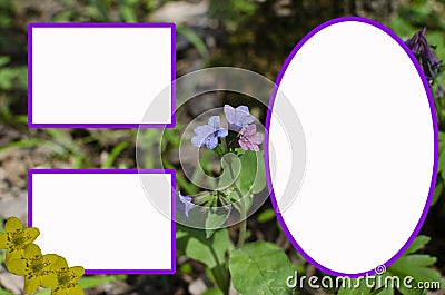 Frame for Photoshop `Flower Glade` Stock Photo