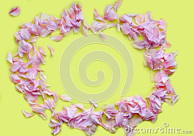 Frame of pink petals on a yellow background. The concept of d cosmetics, spring. Close up.Design concept.Copy space. Top View Stock Photo