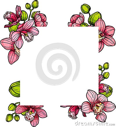 Frame with Pink purple exotic orchid flowers, floral vector illustration for wedding event invitation Vector Illustration