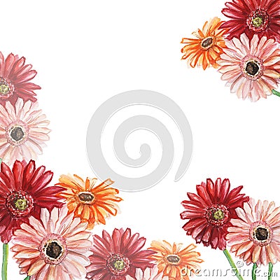 Frame with pink, red and orange gerberas. Watercolor illustration. Cartoon Illustration