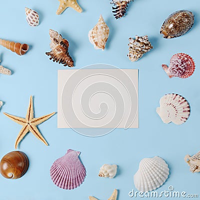 Frame of Plenty different seashells on a blue background. Seaside themed backdrop for travel agency template advertising Stock Photo