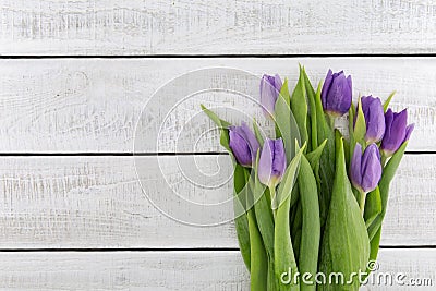 Frame of purpleviolet tulips on white rustic wooden background Stock Photo