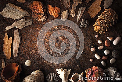 Frame of shells , coral and stone on the dark background Stock Photo