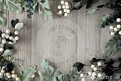 Frame of silver green leaves and white berries over gray wood Stock Photo