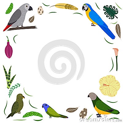 Frame template with cartoon exotic birds. Tropical rectangle composition with grey african, macaw and kea, pionus and Vector Illustration