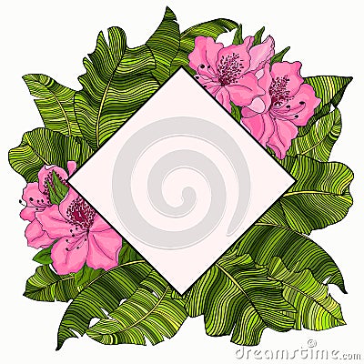Frame for text in the design of the multi-colored, green leaves of a banana tree and pink azalea flowers. Vector Illustration