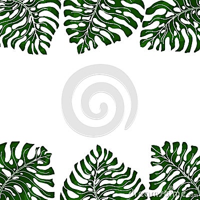 Frame for text with a white background and green exotic leaves monsteras hanging from two sides. Idea for poster, postcard, flyer Vector Illustration