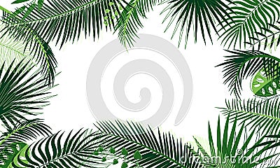 Frame of tropical foliage. Border with palm branch, leaves, monstera, green exotic grass. Rainforest concept, banner. Floral Vector Illustration