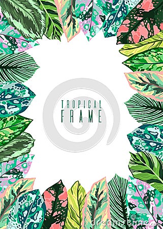 Frame Tropical leaves diffenbachia collection. Vector isolated elements on the white background. Leaf exotic motley color Stock Photo