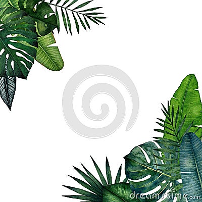 Frame with tropical leaves; monstera, palm, banana, saw palmetto, calathea. Watercolor illustration Cartoon Illustration