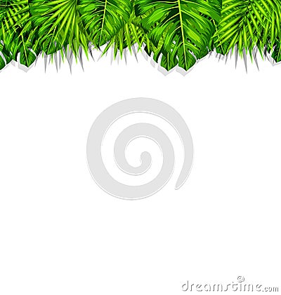 Frame Tropical Leaves Summer Background Vector Illustration