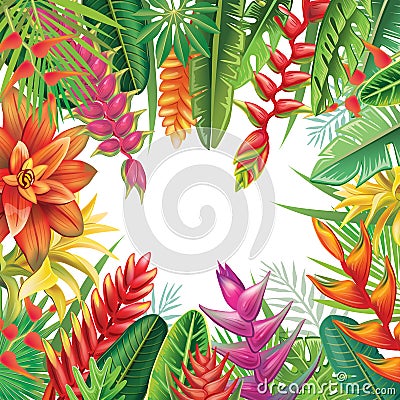 Frame from tropical plants Vector Illustration