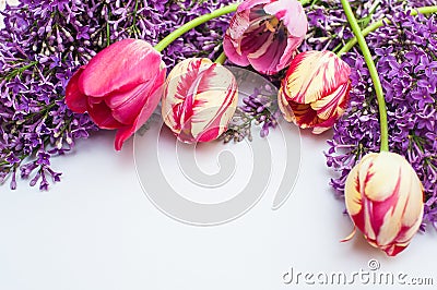 Frame from tulips and lilac place for text greeting card Stock Photo