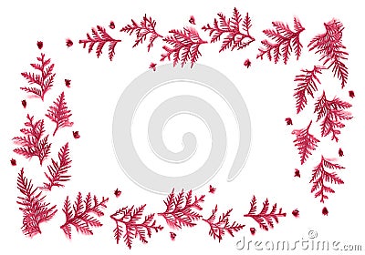 frame of twigs of thuja and tiny cones isolated on a pink background. christmas card concept Stock Photo