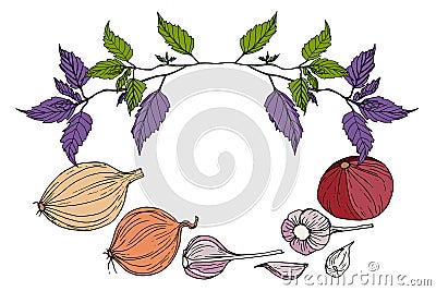 Frame vegetables, greens white background. Vector Illustration