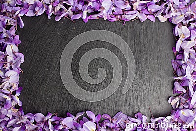 Frame from violet wisteria flowers on black slate background Stock Photo