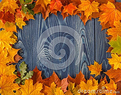 Frame from vivid colorful autumn leaves on the grunge wooden cyan desk, vintage seasonal background Stock Photo