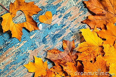 Frame from vivid colorful autumn leaves on the grunge wooden cyan desk Stock Photo