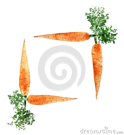 Frame of watercolor carrot isolated on white Stock Photo